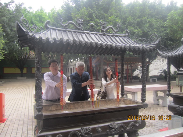 放生观音鸟相思鸟了哥画眉,一飞冲天! 放生观音鸟相思鸟了哥画眉,一飞冲天!