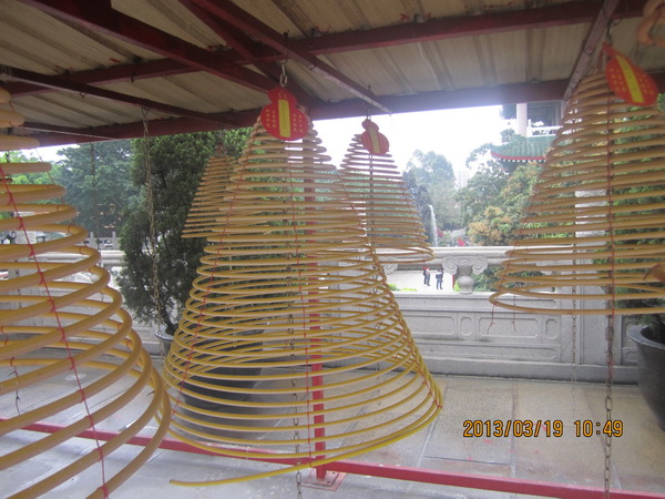 放生观音鸟相思鸟了哥画眉,一飞冲天! 放生观音鸟相思鸟了哥画眉,一飞冲天!