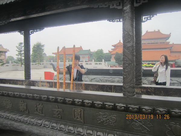 放生观音鸟相思鸟了哥画眉,一飞冲天! 放生观音鸟相思鸟了哥画眉,一飞冲天!