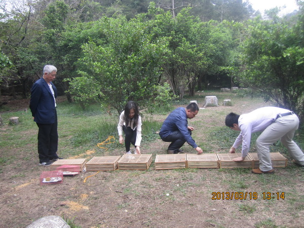 放生观音鸟相思鸟了哥画眉,一飞冲天! 放生观音鸟相思鸟了哥画眉,一飞冲天!