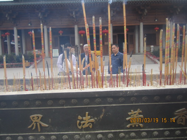 放生观音鸟相思鸟了哥画眉,一飞冲天! 放生观音鸟相思鸟了哥画眉,一飞冲天!