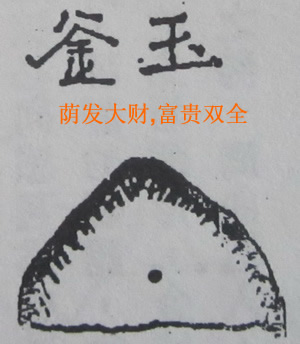 撼龙经九星结穴图解 撼龙经九星结穴图解