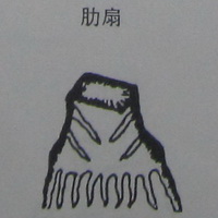 撼龙经九星结穴图解 撼龙经九星结穴图解
