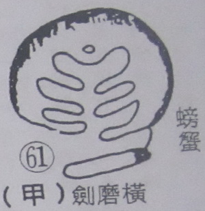 撼龙经九星结穴图解 撼龙经九星结穴图解