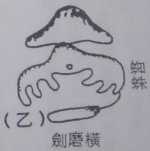 撼龙经九星结穴图解 撼龙经九星结穴图解