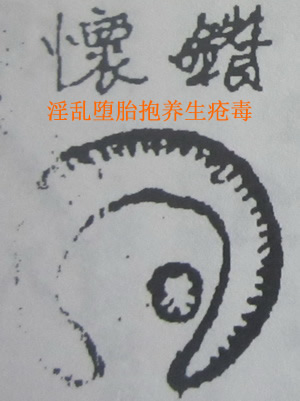 撼龙经九星结穴图解 撼龙经九星结穴图解