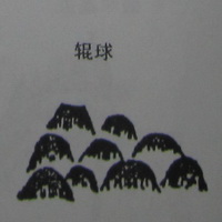 撼龙经九星结穴图解 撼龙经九星结穴图解