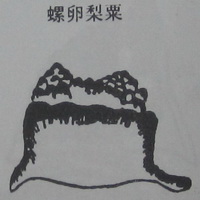 撼龙经九星结穴图解 撼龙经九星结穴图解