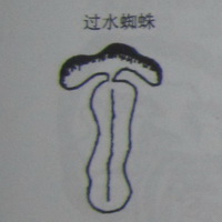 撼龙经九星结穴图解 撼龙经九星结穴图解