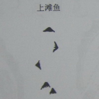 撼龙经九星结穴图解 撼龙经九星结穴图解