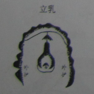 撼龙经九星结穴图解 撼龙经九星结穴图解