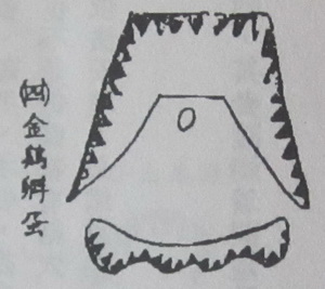 撼龙经九星结穴图解 撼龙经九星结穴图解