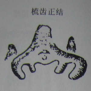 撼龙经九星结穴图解 撼龙经九星结穴图解