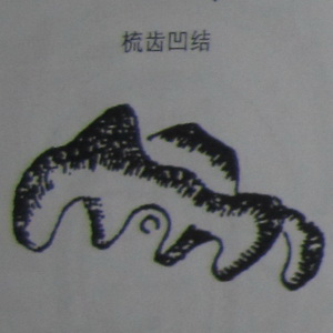 撼龙经九星结穴图解 撼龙经九星结穴图解