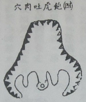撼龙经九星结穴图解 撼龙经九星结穴图解