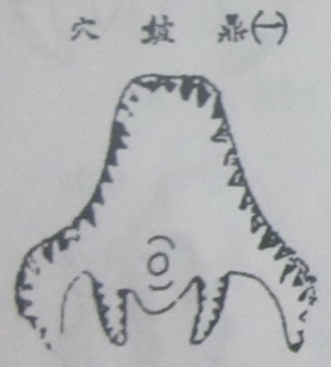撼龙经九星结穴图解 撼龙经九星结穴图解