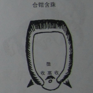 撼龙经九星结穴图解 撼龙经九星结穴图解