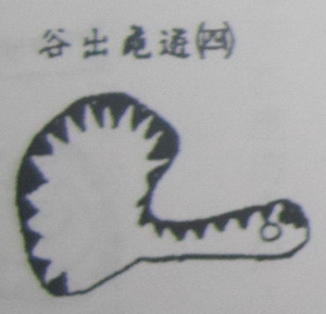 撼龙经九星结穴图解 撼龙经九星结穴图解