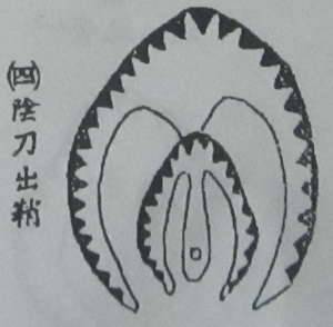 撼龙经九星结穴图解 撼龙经九星结穴图解
