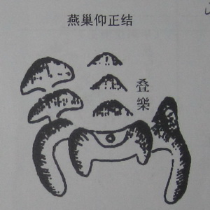 撼龙经九星结穴图解 撼龙经九星结穴图解