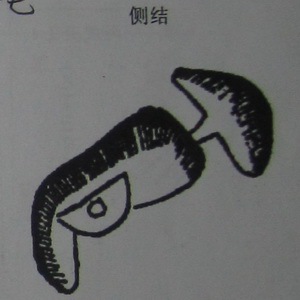 撼龙经九星结穴图解 撼龙经九星结穴图解