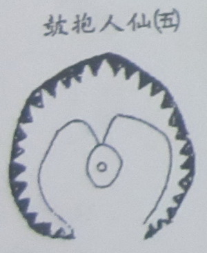 撼龙经九星结穴图解 撼龙经九星结穴图解