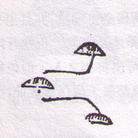 ֮ͼ