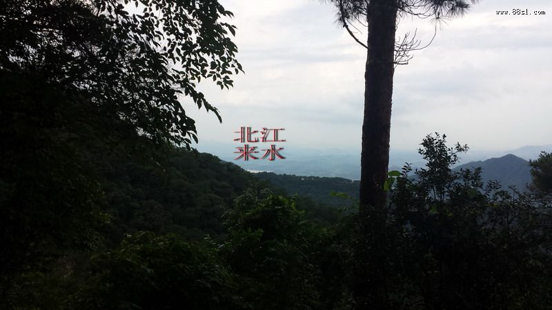 民国初期清远首富麦长天祖坟考察 民国初期清远首富麦长天祖坟考察