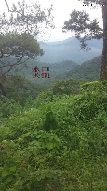 民国初期清远首富麦长天祖坟考察 民国初期清远首富麦长天祖坟考察
