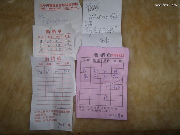 盘古王庙祈福放生灵龟蛇 盘古王庙祈福放生灵龟蛇