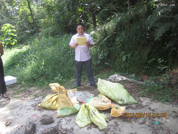 盘古王庙祈福放生灵龟蛇 盘古王庙祈福放生灵龟蛇