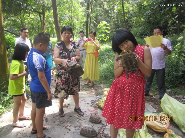 盘古王庙祈福放生灵龟蛇 盘古王庙祈福放生灵龟蛇