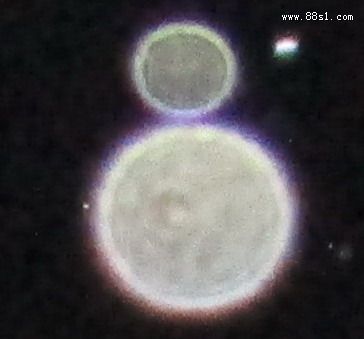 155ƽֱ
