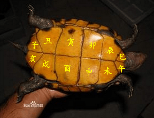 QQ图片20160429134315.png